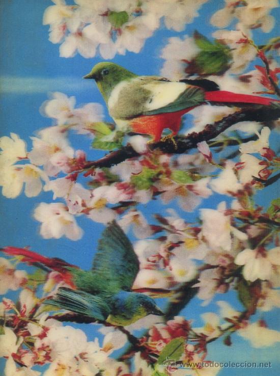 Postales: POSTAL TRIDIMENSIONAL. PAJAROS.        P-ESP-016 - Foto 1