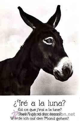 Postales: POSTAL  DE BURROS IRE A LA LUNA - Foto 1