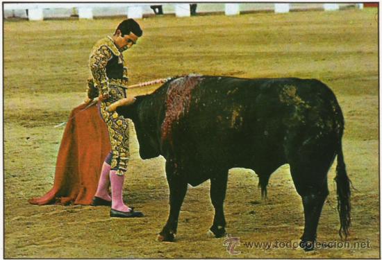 Postales: POSTAL DE TOROS ANTIGUA - Foto 1