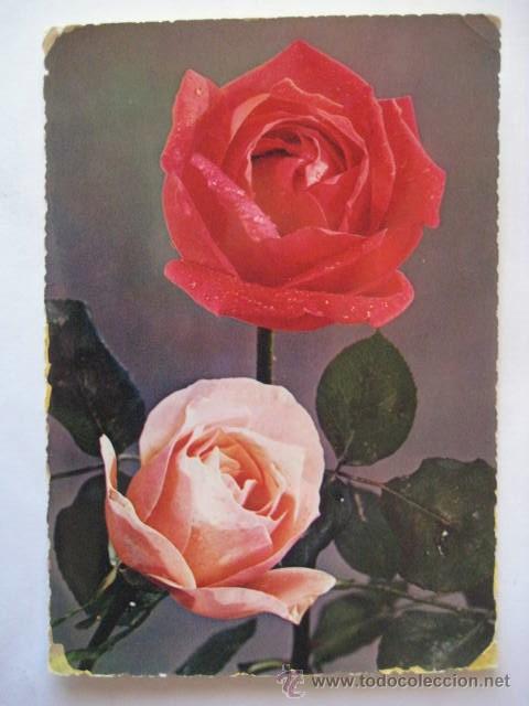 Postales: FLORES. CIRCULADA SIN SELLO. ENVIO GRATIS&iexcl;&iexcl;&iexcl; - Foto 1