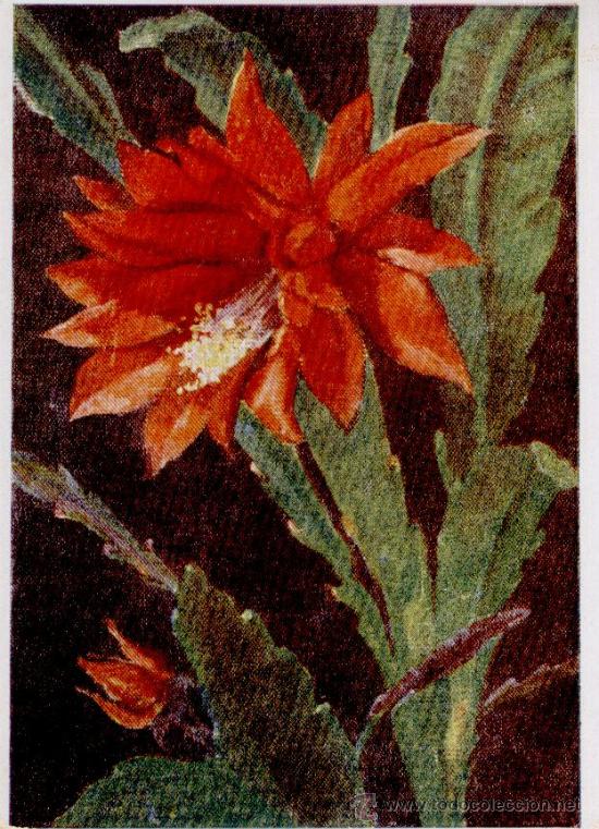 Postales: POSTAL DE FLORES - Foto 1