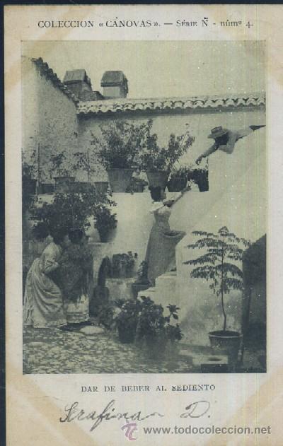 Postales: POSTAL DAR DE BEBER AL SEDIENTO  P-ESP-024 - Foto 1
