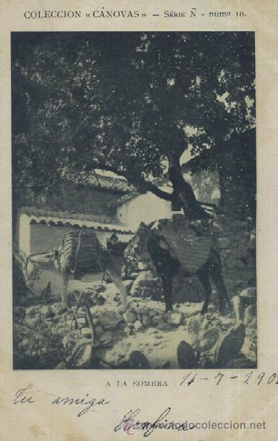 Postales: POSTAL A LA SOMBRA    P-ESP-025 - Foto 1