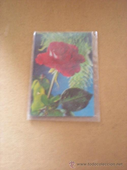 Postales: ROSA TRIDEMENSIONAL - Foto 1