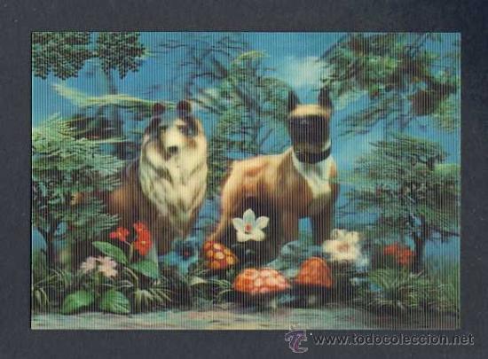 Postales: Postal con efecto 3D: Perros (Ed.Visiomatic) - Foto 1