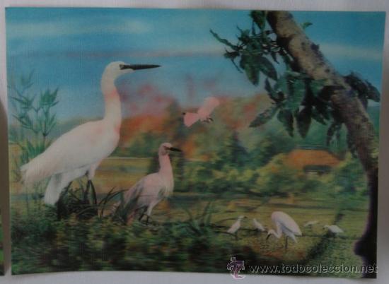 Postales: BONITA POSTAL EN 3D - Foto 1