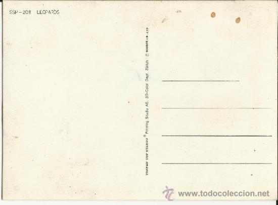 Postales: POSTAL EN TRES DIMENSIONES - LEOPARDOS. - Foto 2