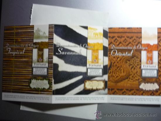 Postales: TRIPTICO 3 POSTALES TABACO FORTUNA - Foto 1