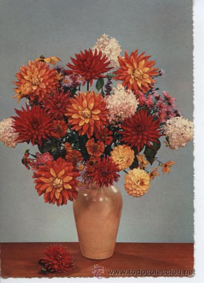 Postales: FLORES. CRISANTEMOS - Foto 1