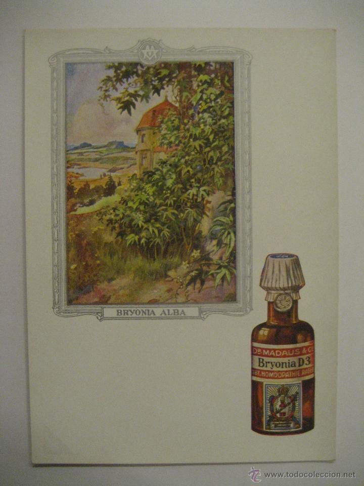 Postales: POSTAL MEDICINA HOMEOPATICA - Foto 1