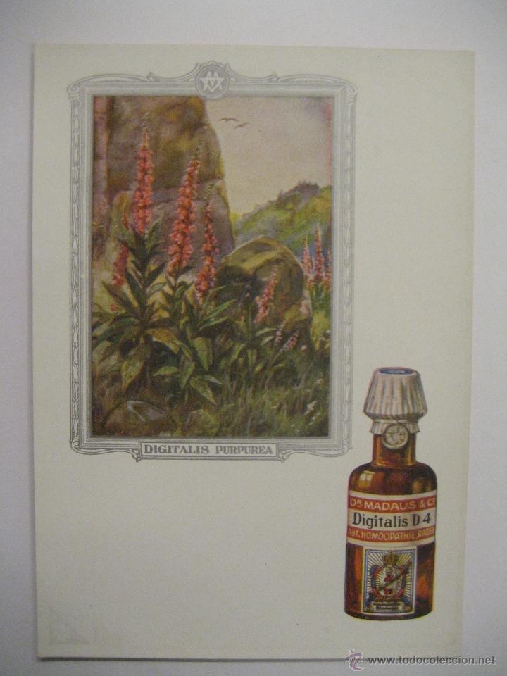 Postales: POSTAL MEDICINA HOMEOPATICA - Foto 1