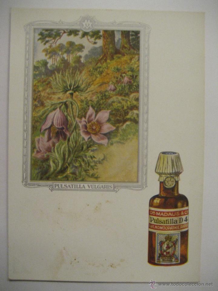 Postales: POSTAL MEDICINA HOMEOPATICA - Foto 1