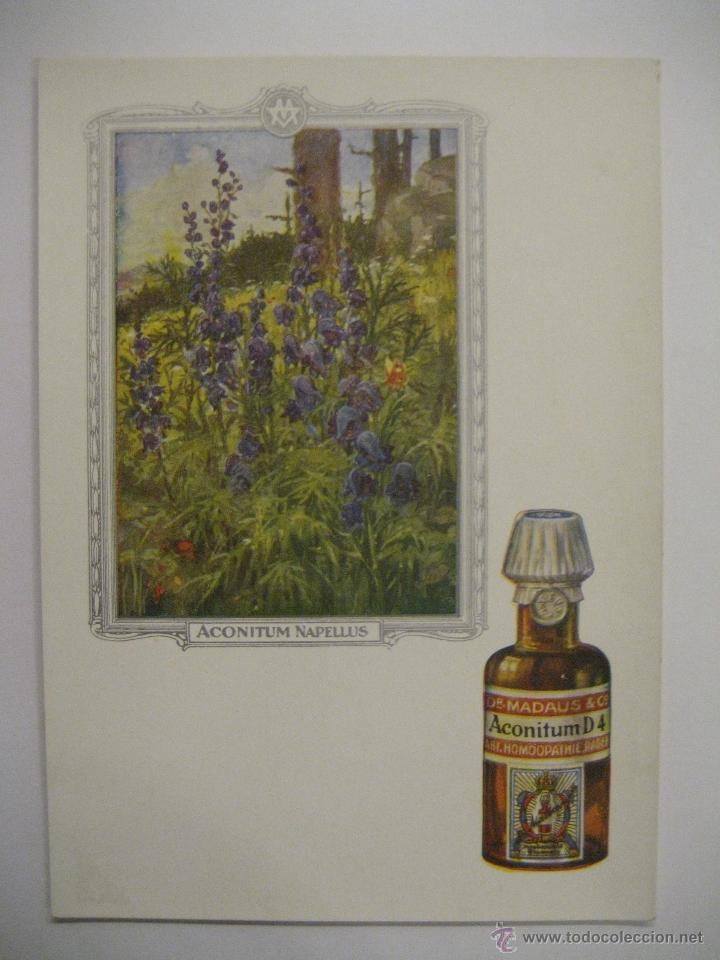 Postales: POSTAL MEDICINA HOMEOPATICA - Foto 1