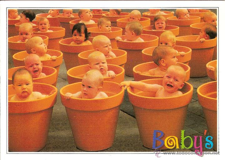 Postales: BEB&Eacute;S -  SIN CIRCULAR - Foto 1