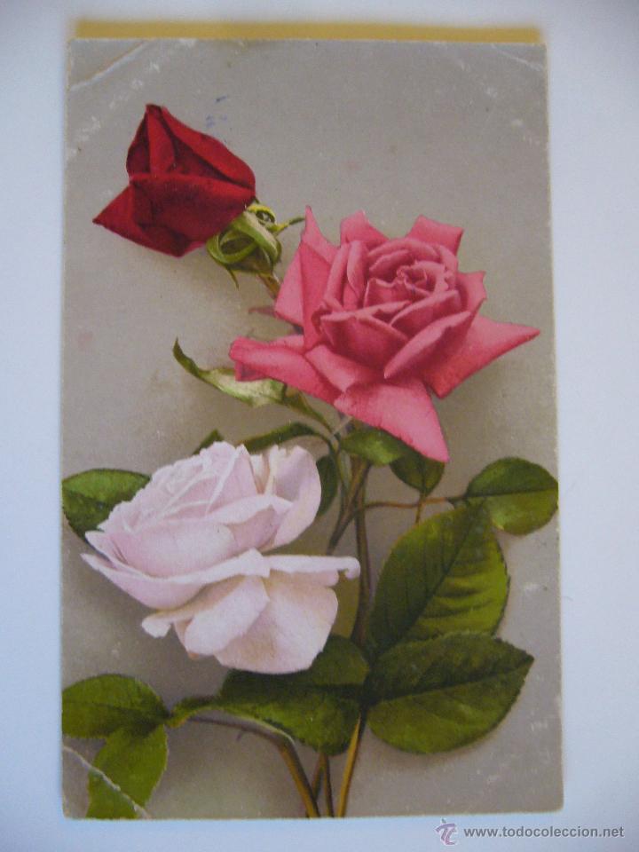 Postales: Postal de Flores. Circulada. - Foto 1