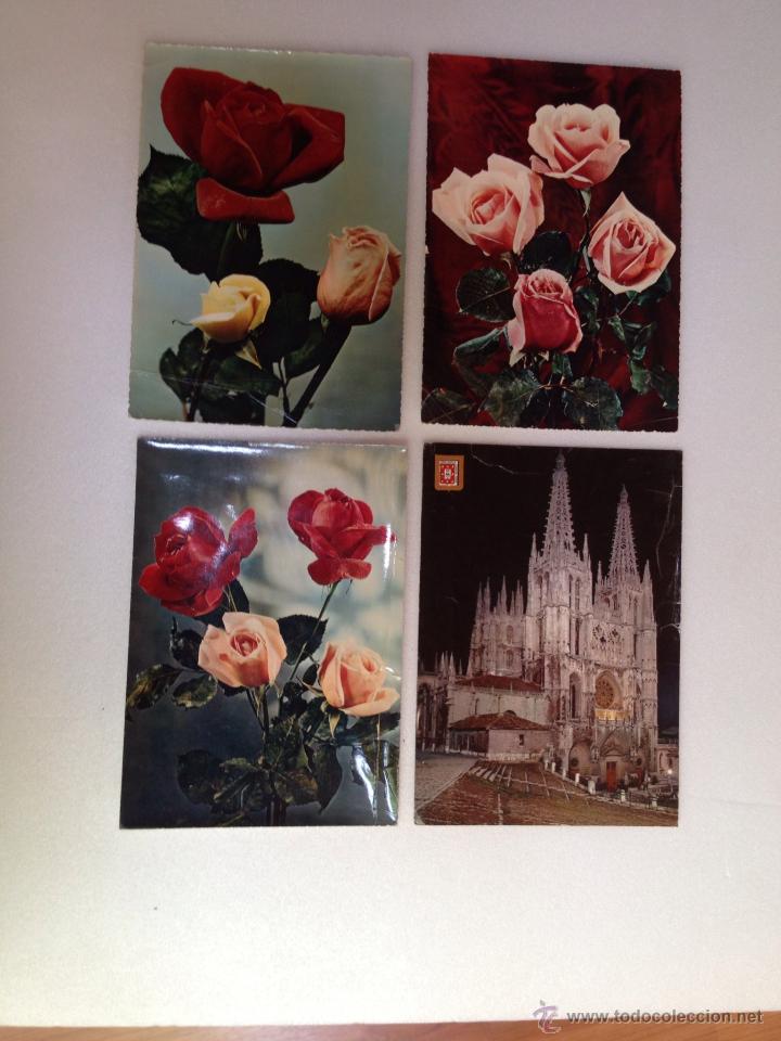 Espere Donación Pensionista postales grandes de rosas - Buy Special Postcards at todocoleccion ...