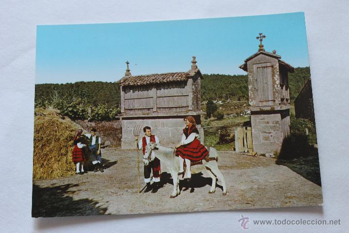 Postales: POSTAL FOLKLORE GALLEGO EDICIONES ALARDE - Foto 1