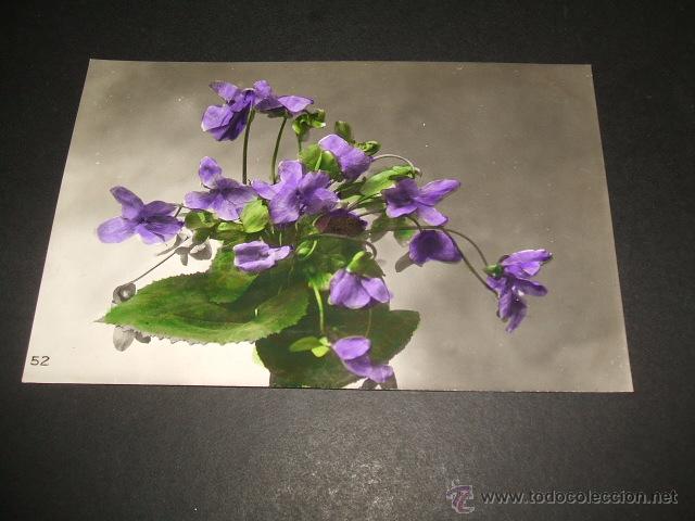 Postales: VIOLETAS POSTAL ANTIGUA - Foto 1