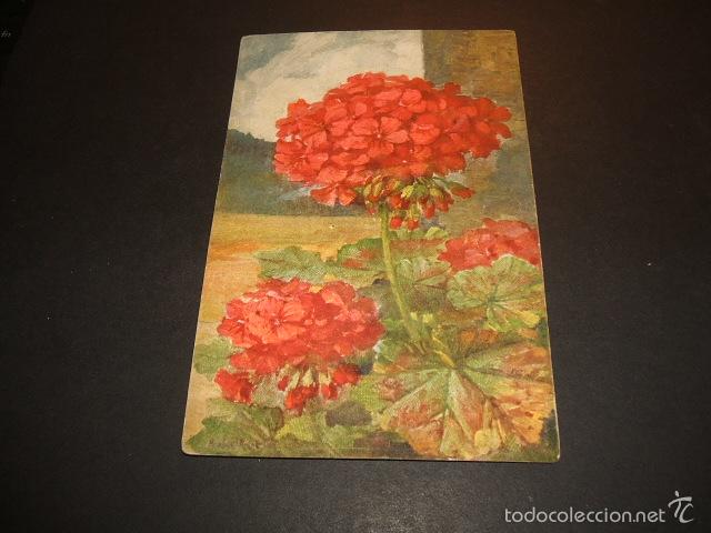 Postales: FLORES POSTAL HACIA 1910 - Foto 1