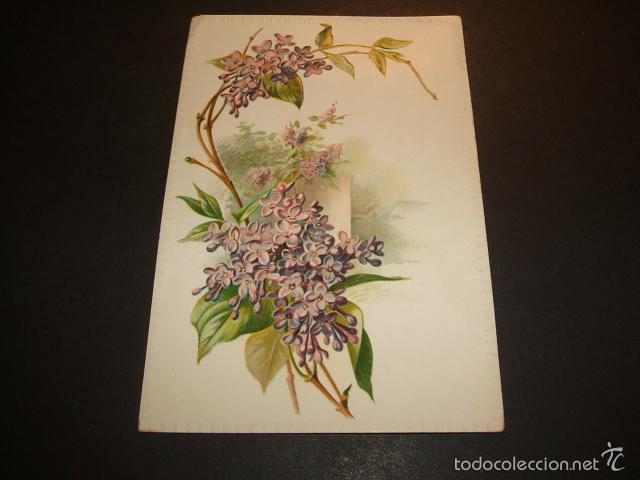 Postales: FLORES POSTAL EN RELIEVE 1905 - Foto 1