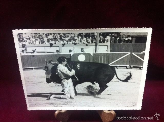 Postales: TOROS Y TOREROS LUIS MIGUEL DOMINGUIN - Foto 1