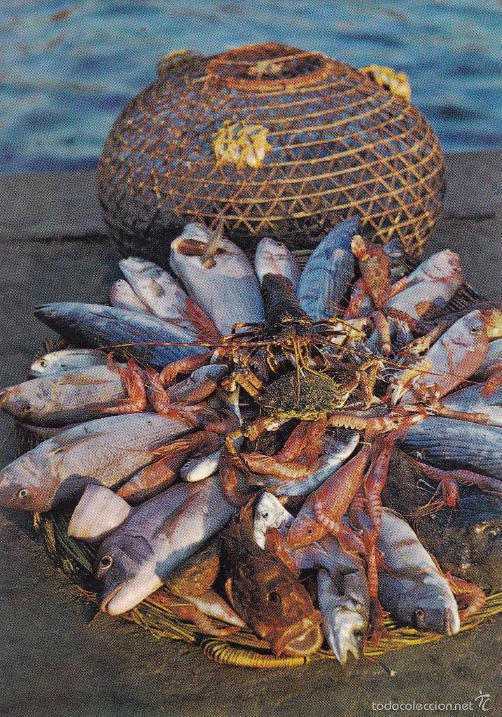 Postales: panera tipica de pescado (escrita) - Foto 1