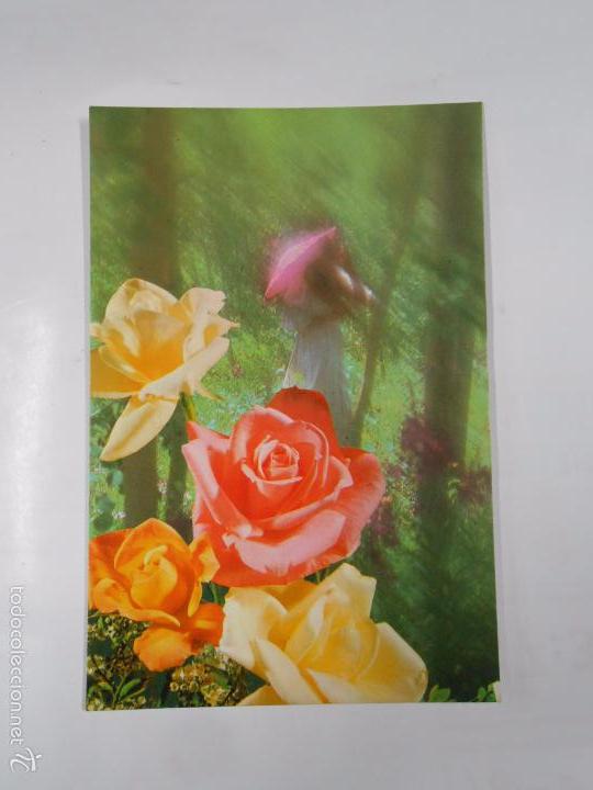 Postales: POSTAL FLORES. TDKP7 - Foto 1