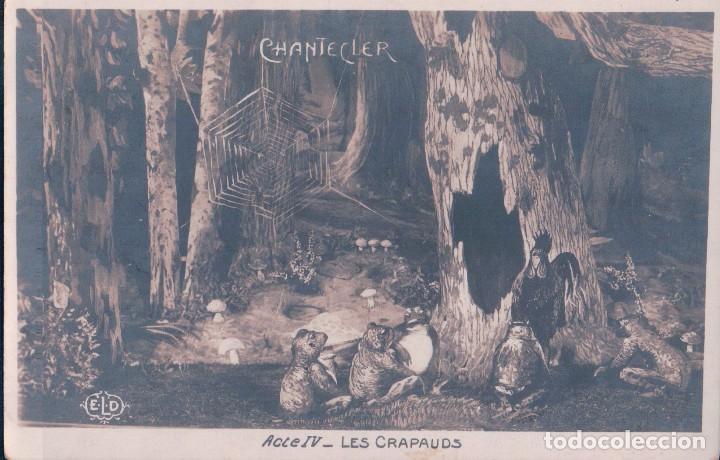 Postcards: POSTAL TEATRO -ACTE IV Chantecler LES CRAPADAUS