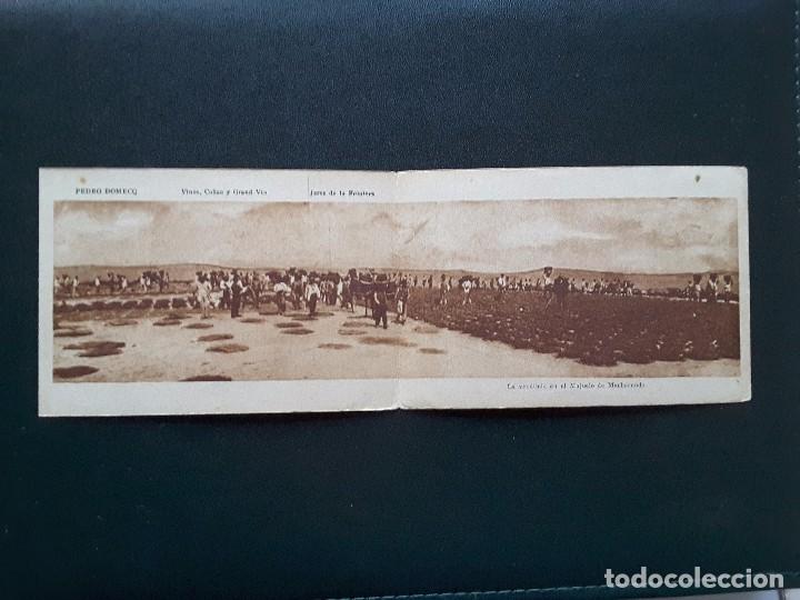 Postales: POSTAL DOBLE DE LA VENDIMIA - Foto 1