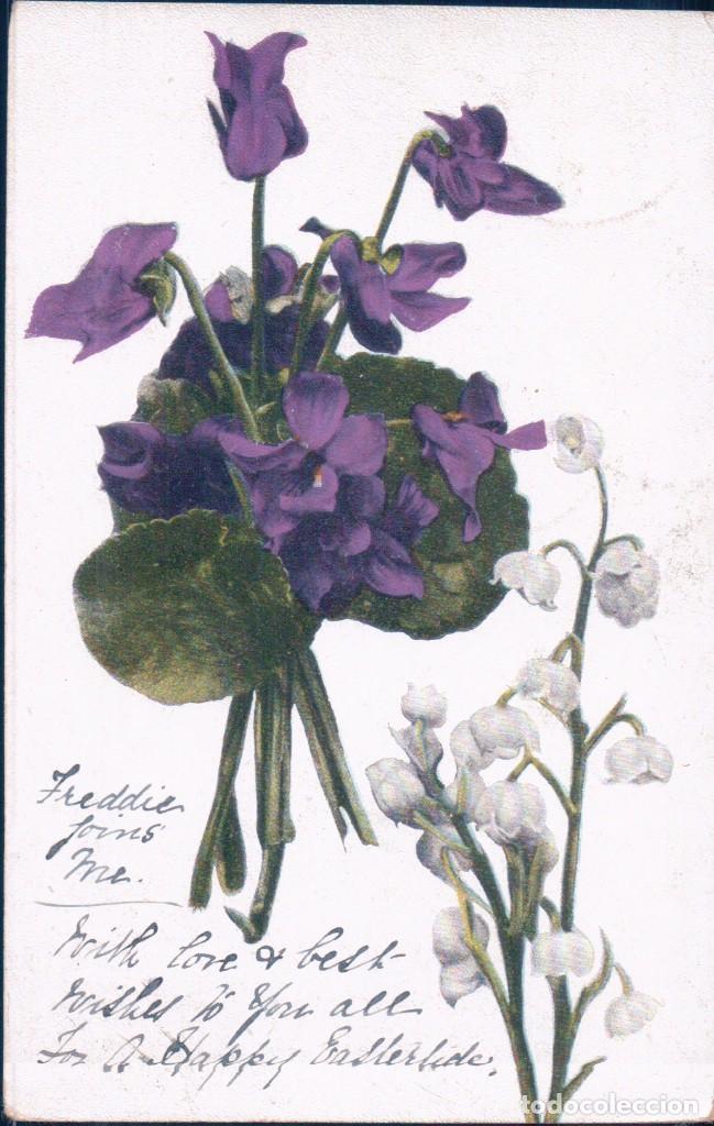 postal ramillete de violetas y flores blancas - - Buy Special postcards on  todocoleccion