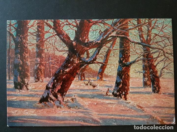 Postales: POSTAL EN RELIEVE BOSQUE - Foto 1