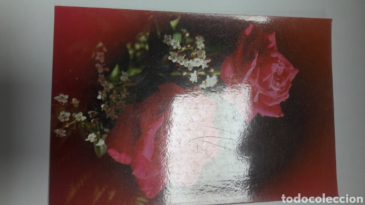 Postales: Postal Rosa - Foto 1