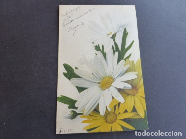 Postales: FLORES POSTAL - Foto 1