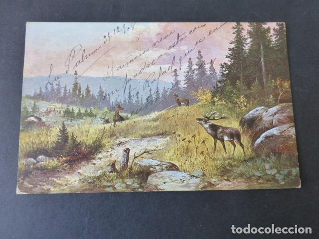 Postales: PAISAJE POSTAL - Foto 1