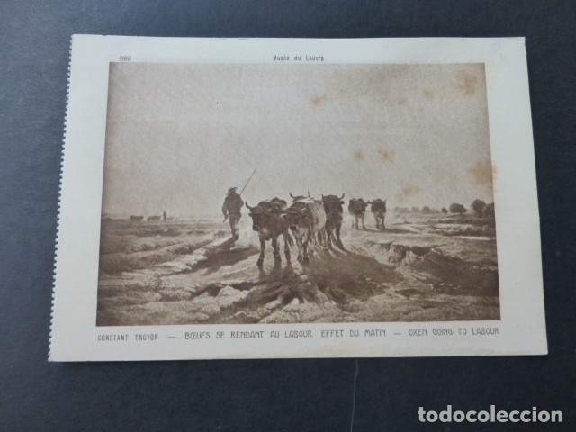 Postales: BUEYES REGRESANDO DE LA LABOR POSTAL - Foto 1