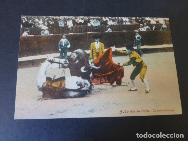 Postales: CORRIDA DE TOROS UN TORO CODICIOSO POSTAL TAURINA - Foto 1