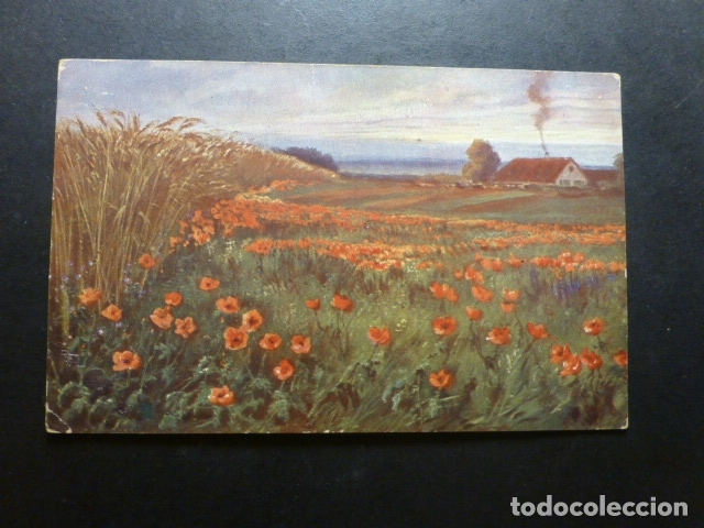 Postales: CAMPO DE AMAPOLAS POSTAL - Foto 1