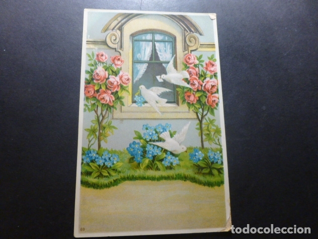 Postales: PALOMAS EN JARDIN POSTAL - Foto 1