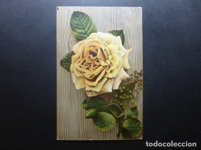 Postales: ROSA POSTAL - Foto 1