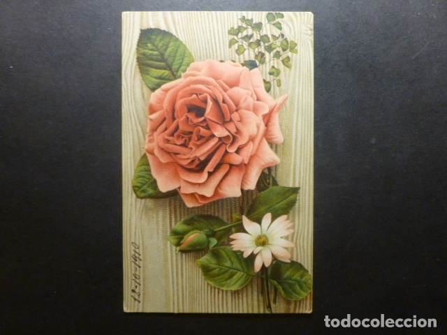 Postales: ROSA POSTAL - Foto 1