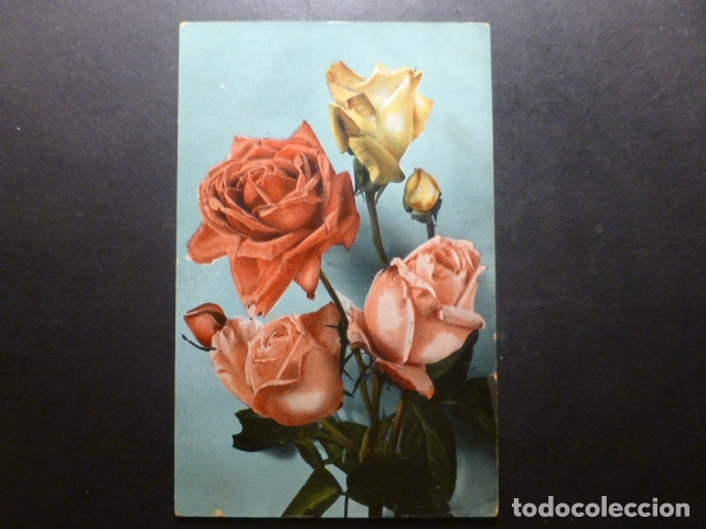 Postales: FLORES POSTAL - Foto 1