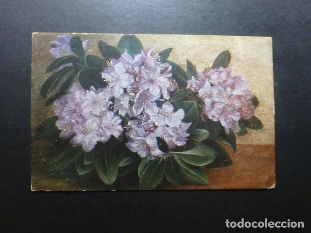 Postales: FLORES POSTAL - Foto 1