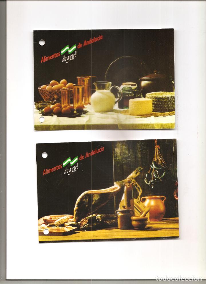 Postales: ALIMENTOS DE ANDALUCIA. 25 POSTALES - Foto 1