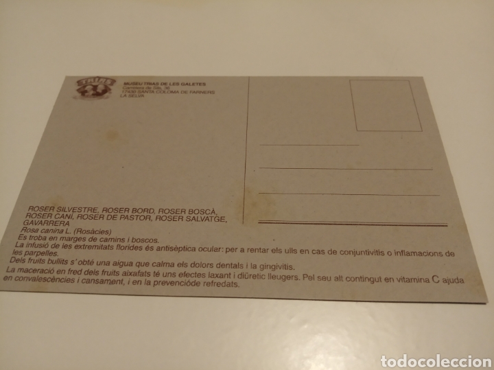 Postales: Roser silvestre museo Tr&iacute;as - Foto 2