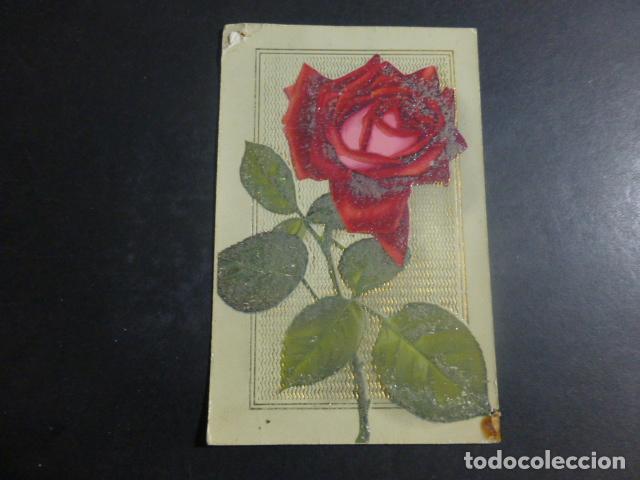 Postales: ROSA POSTAL - Foto 1