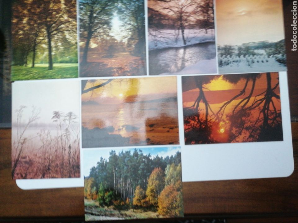 Postales: BOSQUES, COLECCI&Oacute;N PERLA. LOTE DE 8 POSTALES - Foto 1