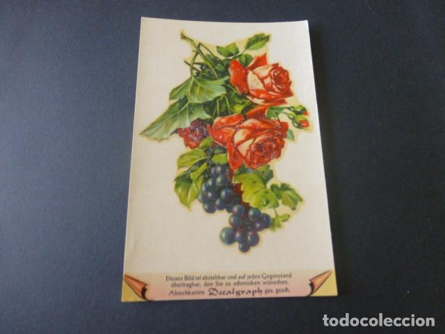 Postales: ROSAS Y UVAS POSTAL - Foto 1