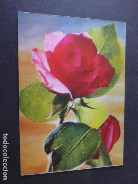 Postales: ROSA POSTAL TRES DIMENSIONES 3D - Foto 1