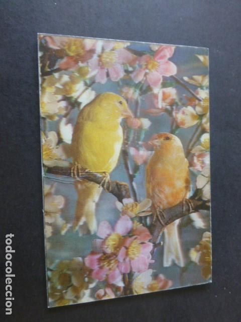 Postales: CANARIOS POSTAL TRES DIMENSIONES 3D - Foto 1