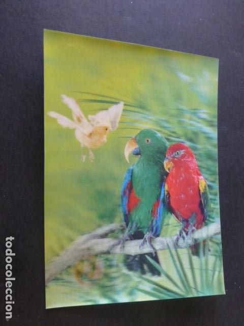 Postales: LOROS POSTAL TRES DIMENSIONES 3D - Foto 1